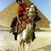1980 Egypt Giza Camel